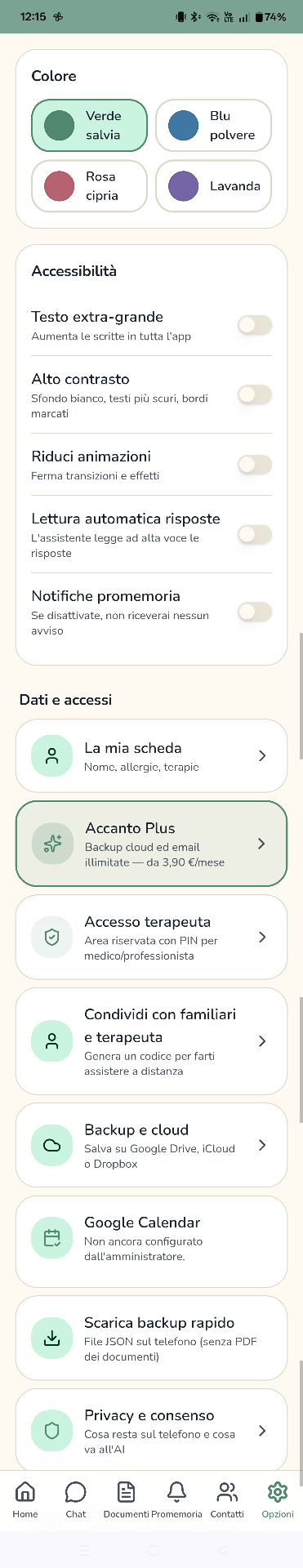 Schermata Opzioni con colore del tema e impostazioni di accessibilità